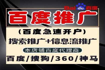百度SEO推广公司案例精选：揭秘关键词优化策略